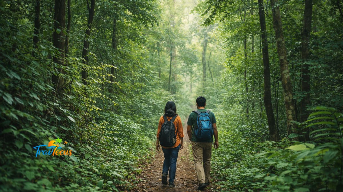 మారేడుమిల్లి అడవుల్లో నడుస్తున్న ప్రయాణికులు, చుట్టూ పచ్చని చెట్లు